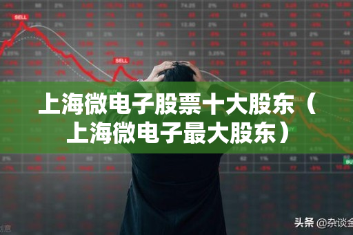 上海微电子股票十大股东（上海微电子最大股东）